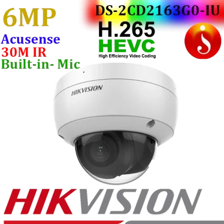 DS-2CD2163G0-I(S)